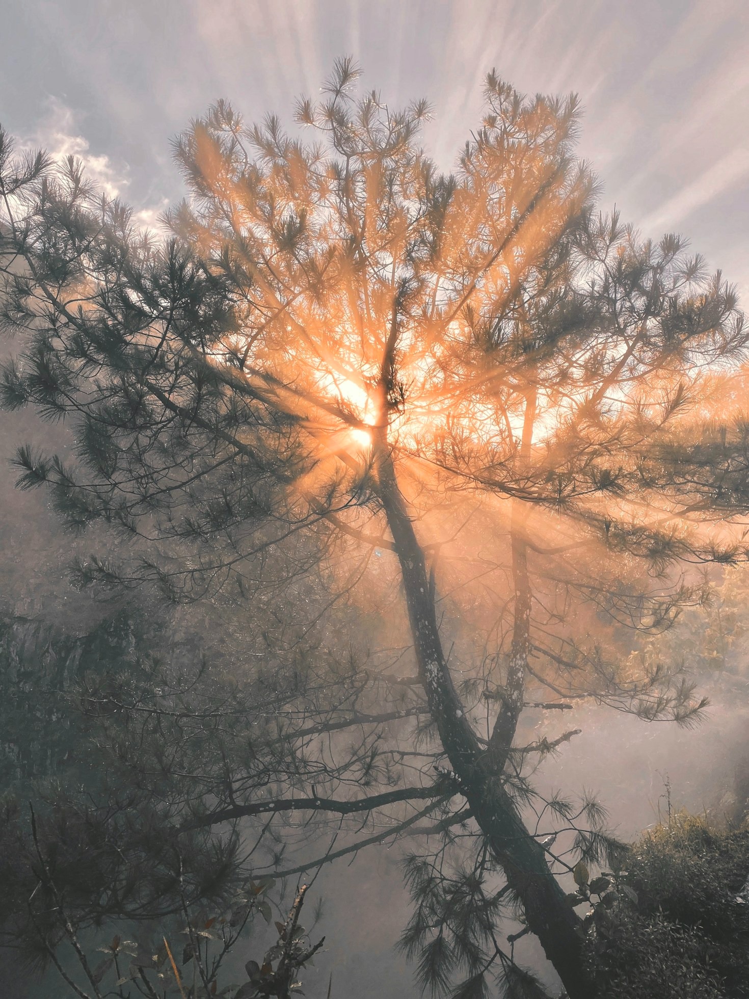 The Role of Symbolism in Spiritual Awakening