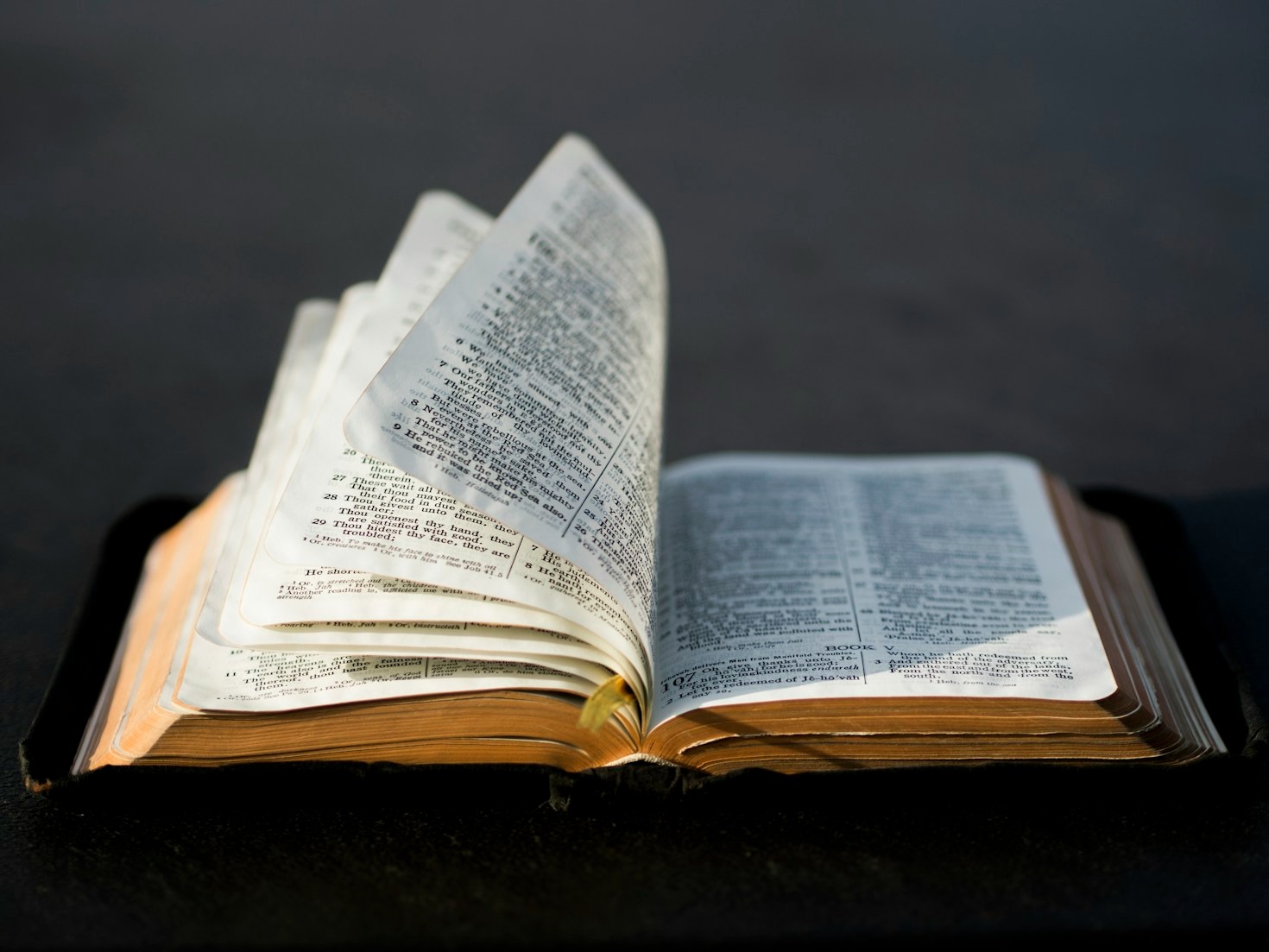 Uncovering the Hidden Messages in the Bible